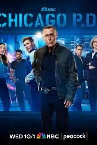 Полиция Чикаго 1-13 сезон